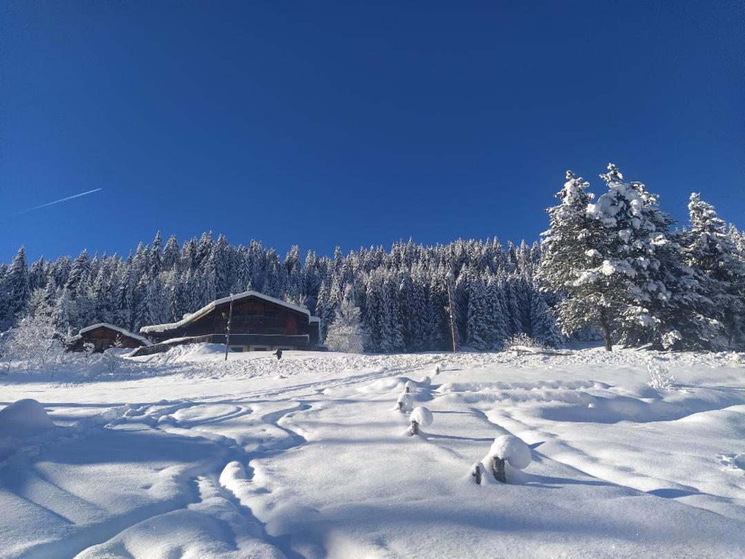 Chalet Lisa B&B Morzine Εξωτερικό φωτογραφία