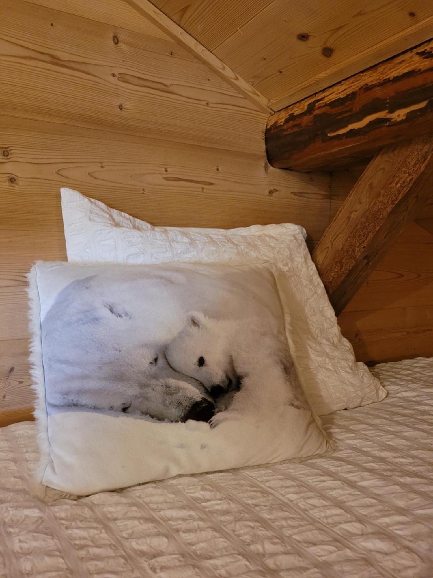 Chalet Lisa B&B Morzine Εξωτερικό φωτογραφία